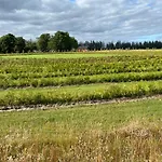 Bed & Breakfast Billund-bnb Aps 2*