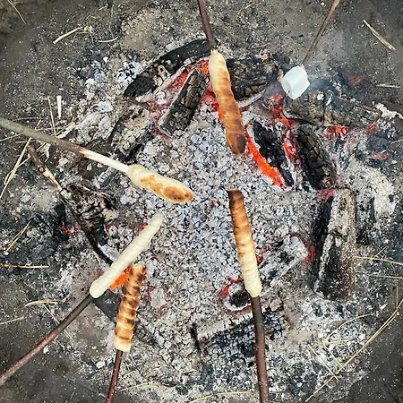 Frühstückspension Billund-bnb Aps Billund