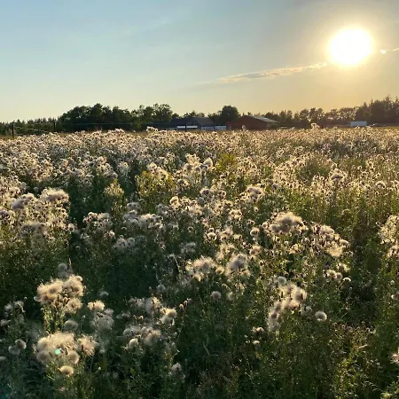 Alojamento de Acomodação e Pequeno-almoço Billund-bnb Aps 2*