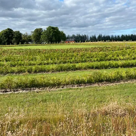 Frühstückspension Billund-bnb Aps 2*