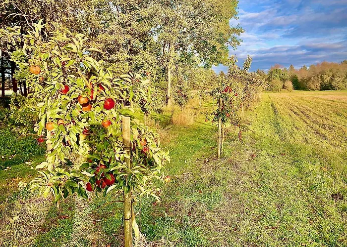 Alojamento de Acomodação e Pequeno-almoço Billund-bnb Aps