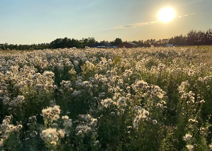 Nocleg ze śniadaniem Billund-bnb Aps 2*