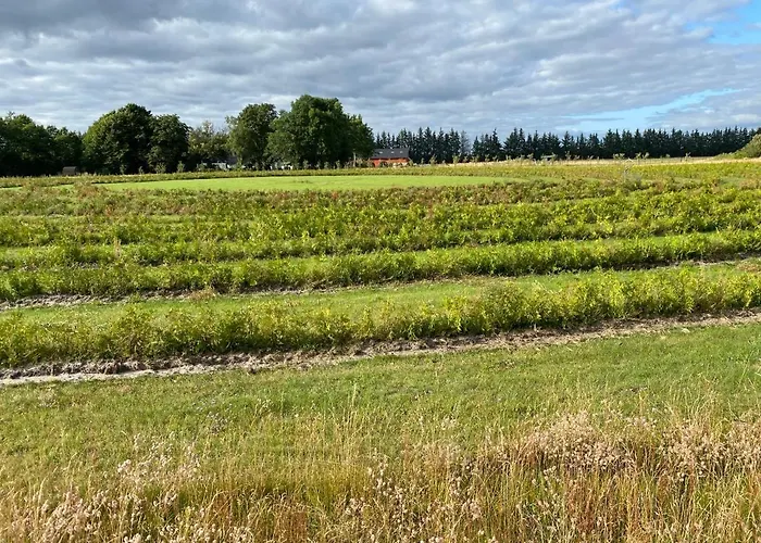 Nocleg ze śniadaniem Billund-bnb Aps 2*