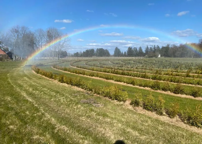 Nocleg ze śniadaniem Billund-bnb Aps 2*